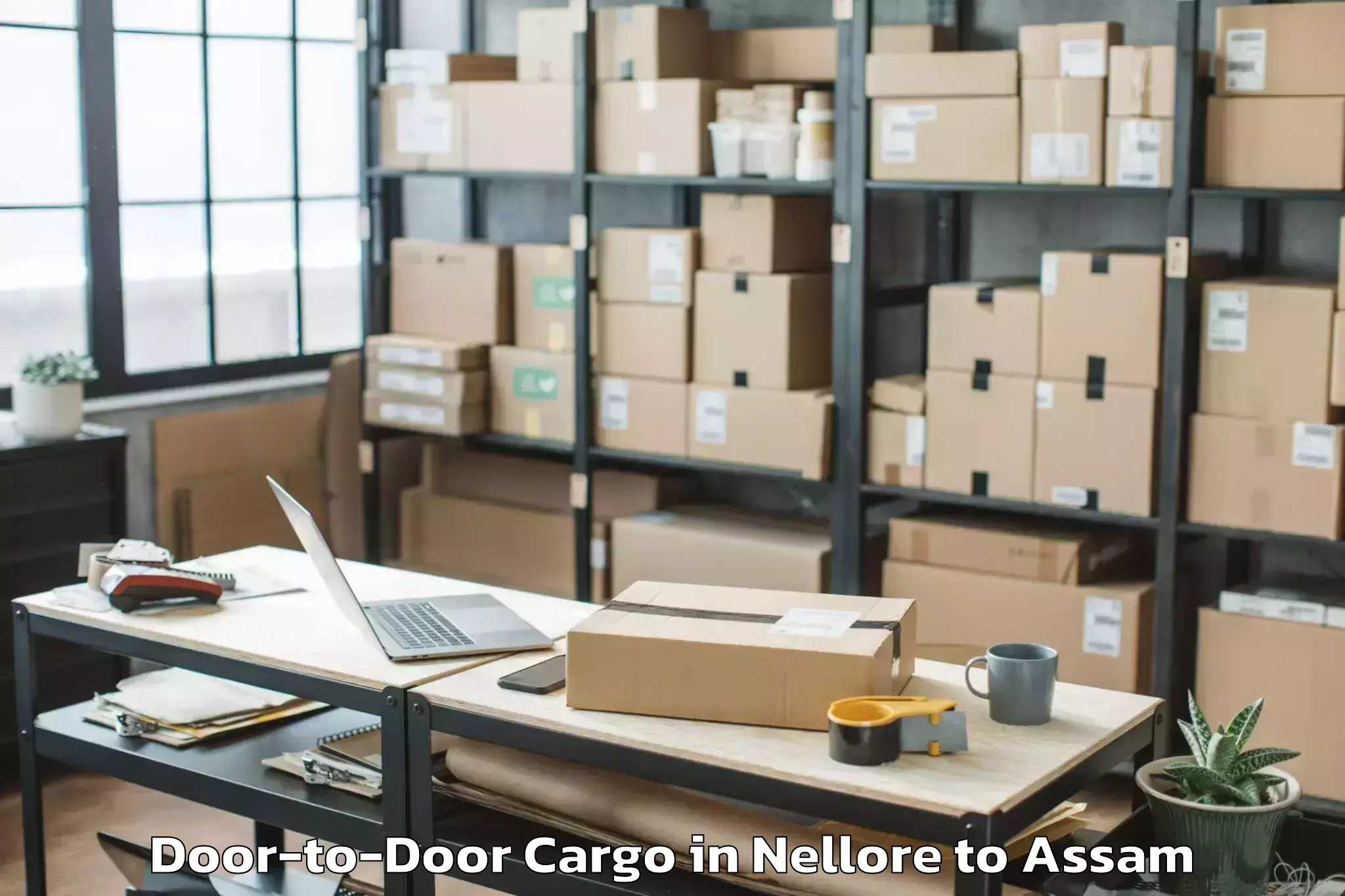 Book Your Nellore to Silapathar Door To Door Cargo Today